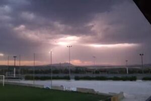 Marta Acarreta Colomo