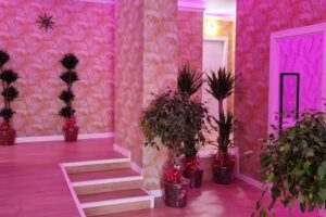 Masajes Benidorm &ndash; Centro de masajes Oriental