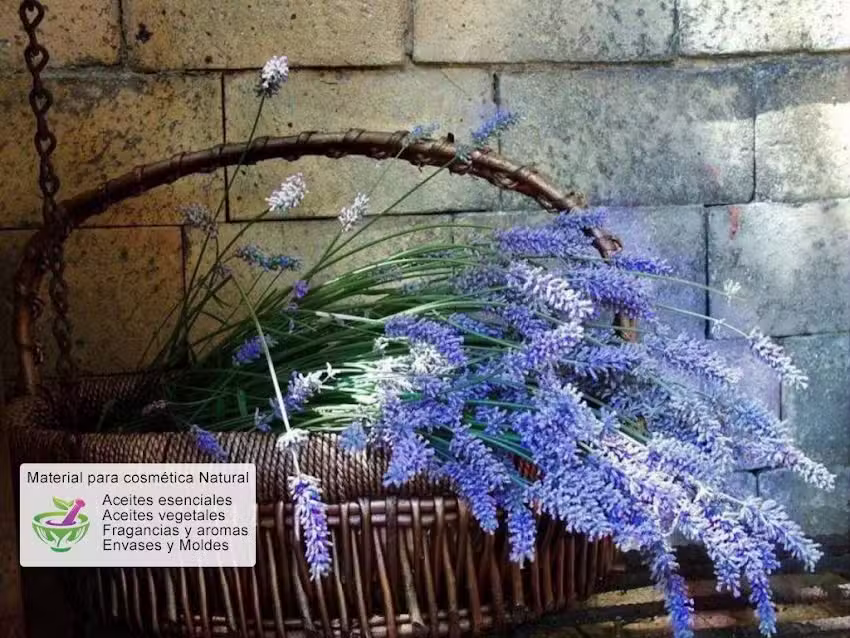 Mi Cosm&eacute;tica Casera