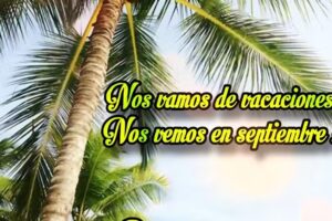 MIMARTE FISIOTERAPIA Y ESTÉTICA