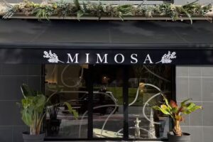 Mimosa Beauty Salon Pau5