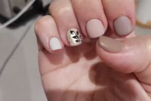 M&ograve;n est&eacute;stic