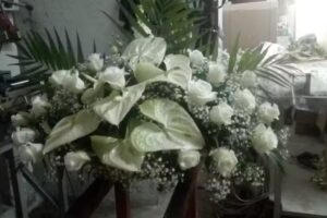 Morales Moreno, M. M.