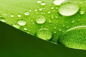 NaturaOnline (Tienda de cosmética natural)