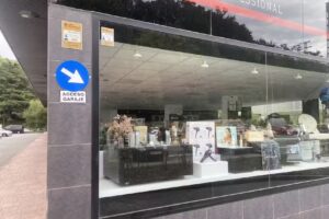 Negredo Professional