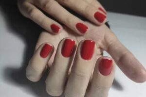 Nova Est&egrave;tica