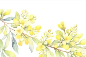 O Maio sal&oacute;n de est&eacute;tica