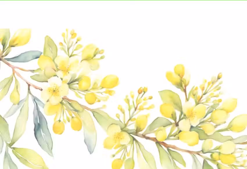 O Maio sal&oacute;n de est&eacute;tica