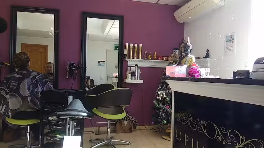 Opulence Hairdresser In Alfaquia