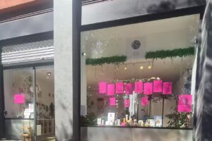 Organic Skincare the shop