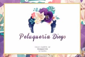 Peluquer&iacute;a Diego