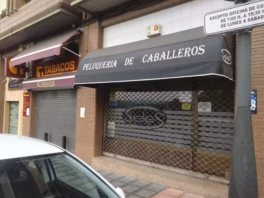 Peluquer&iacute;a Seles