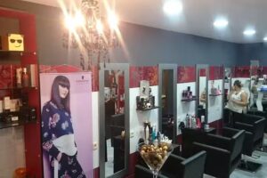 Peluquer&iacute;a Trasgos