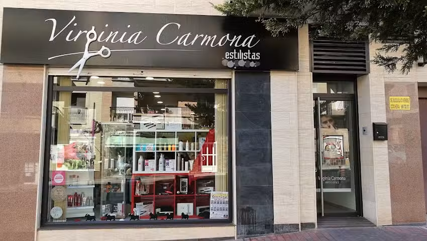 PELUQUER&Iacute;A Y CENTRO DE BELLEZA UNISEX VIRGINIA CARMONA ESTILISTAS