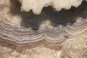 Premier Cosm&eacute;ticos Barcelona Paseo de Gracia &ndash; Cosm&eacute;tica Natural