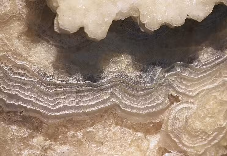 Premier Cosm&eacute;ticos Barcelona Paseo de Gracia &ndash; Cosm&eacute;tica Natural