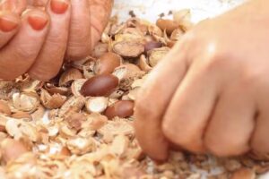 Premier Cosm&eacute;ticos Madrid Serrano &ndash; Cosm&eacute;tica Natural