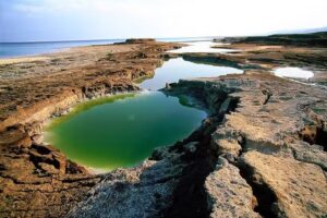 Premier Cosméticos Pozuelo de Alarcón – Cosmética Natural