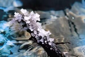 Premier Cosm&eacute;ticosCastilleja de la Cuesta &ndash; Cosm&eacute;tica Natural