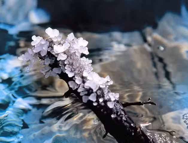 Premier Cosm&eacute;ticosCastilleja de la Cuesta &ndash; Cosm&eacute;tica Natural