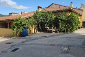 Rinc&oacute;n Silvestre