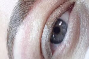 Rosma Castell&oacute;n