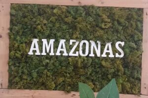 Sal&oacute;n de Belleza Amazonas