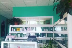 Salon de Belleza Camino