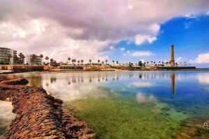 Sanaoliva Cosm&eacute;tica Natural