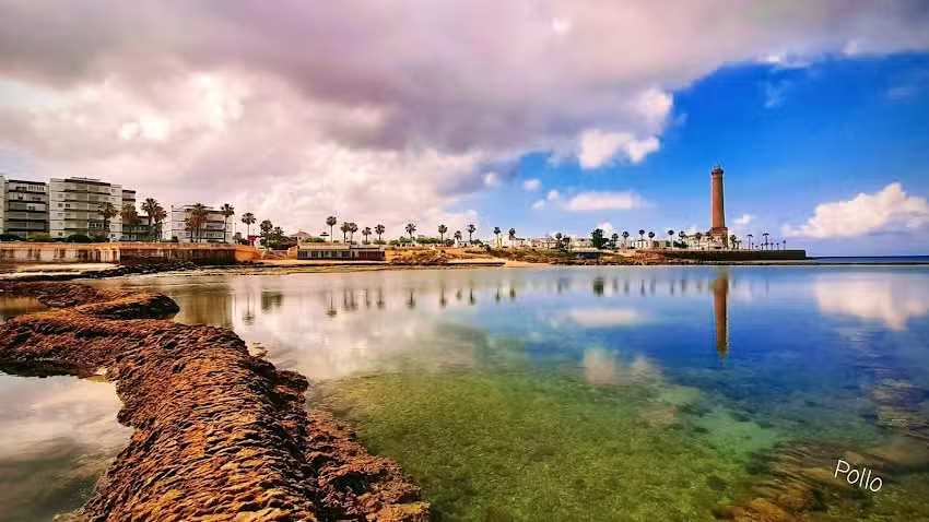 Sanaoliva Cosm&eacute;tica Natural