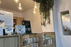 Stay Healthy Aloe & Cbd