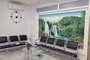 SUMMER CLINIC. Dr. Alexander Silveira