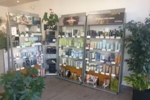 THE GALLERY of beauty