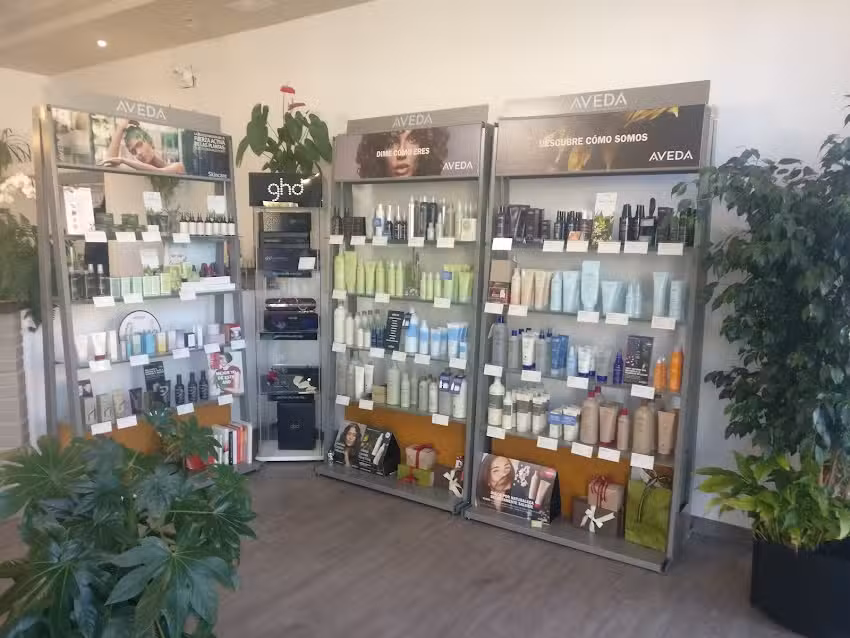 THE GALLERY of beauty