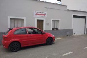 Tu Sal&oacute;n De Belleza Maestro