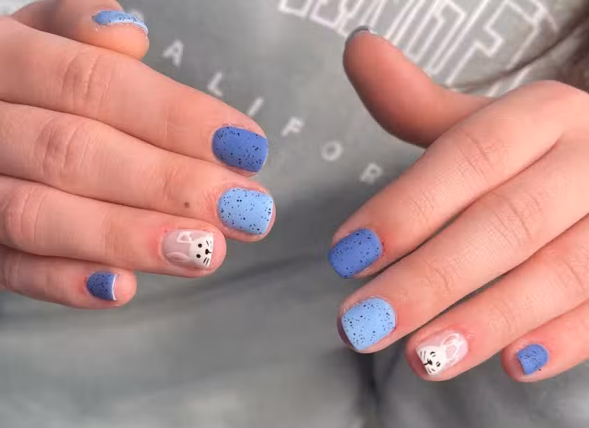 Ventura Est&eacute;tica