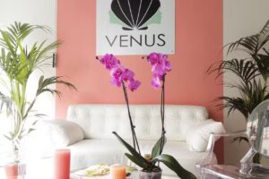 Venus est&eacute;tica y experiencias