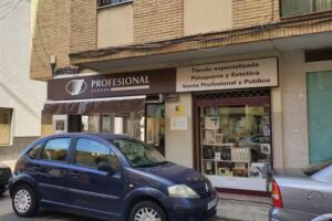 Versi&oacute;n Profesional