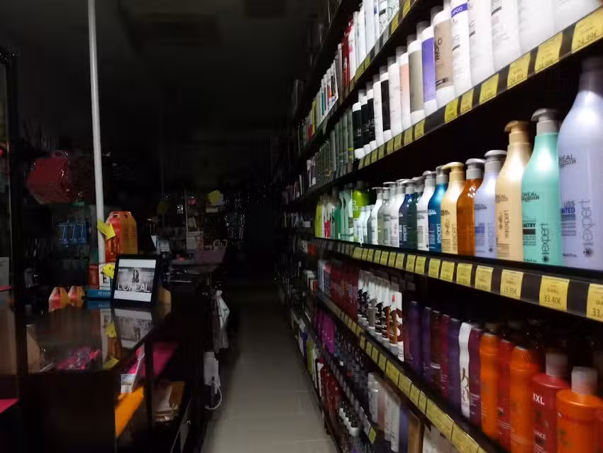 ZASENI Constituci&oacute;n