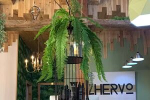 Zhervo Lavapies Peluquer&iacute;a Org&aacute;nica